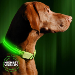 Dog Collar